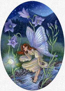 Harebell Wildflower Fairy
